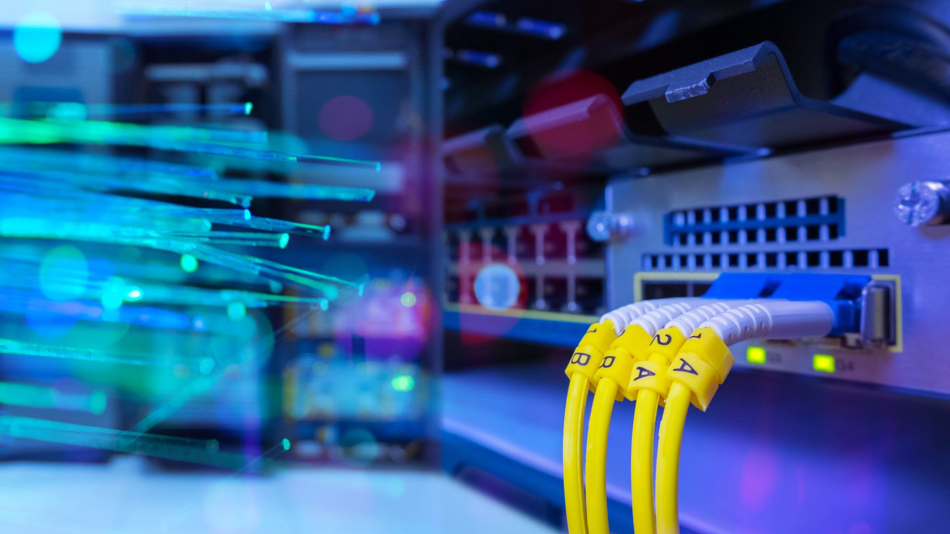 Fiber network